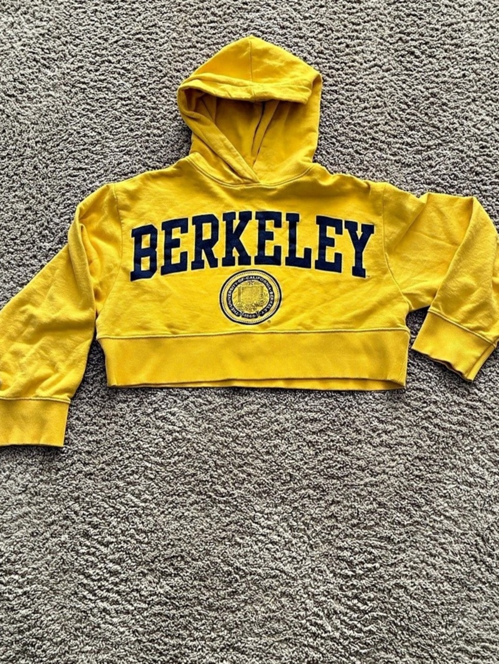 Zara Berkeley University of California cropped hoodie Yellow & Blue women’s MED